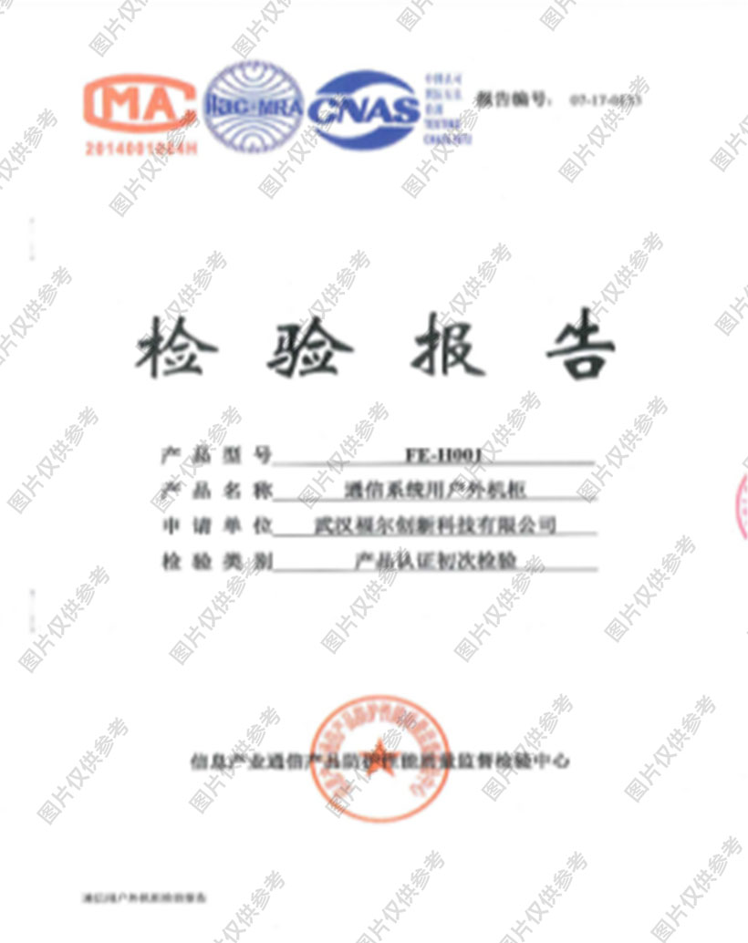 檢驗(yàn)報告